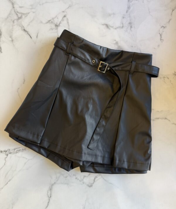 Shorts/Pollera